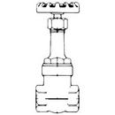 Crane Valve/Crane Energy Flow Sol Bronze Full Port Threaded Gate Valve 