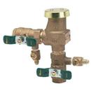 Watts Cast Bronze FNPT Bronze 150 psi BFP Vacuum Breaker 