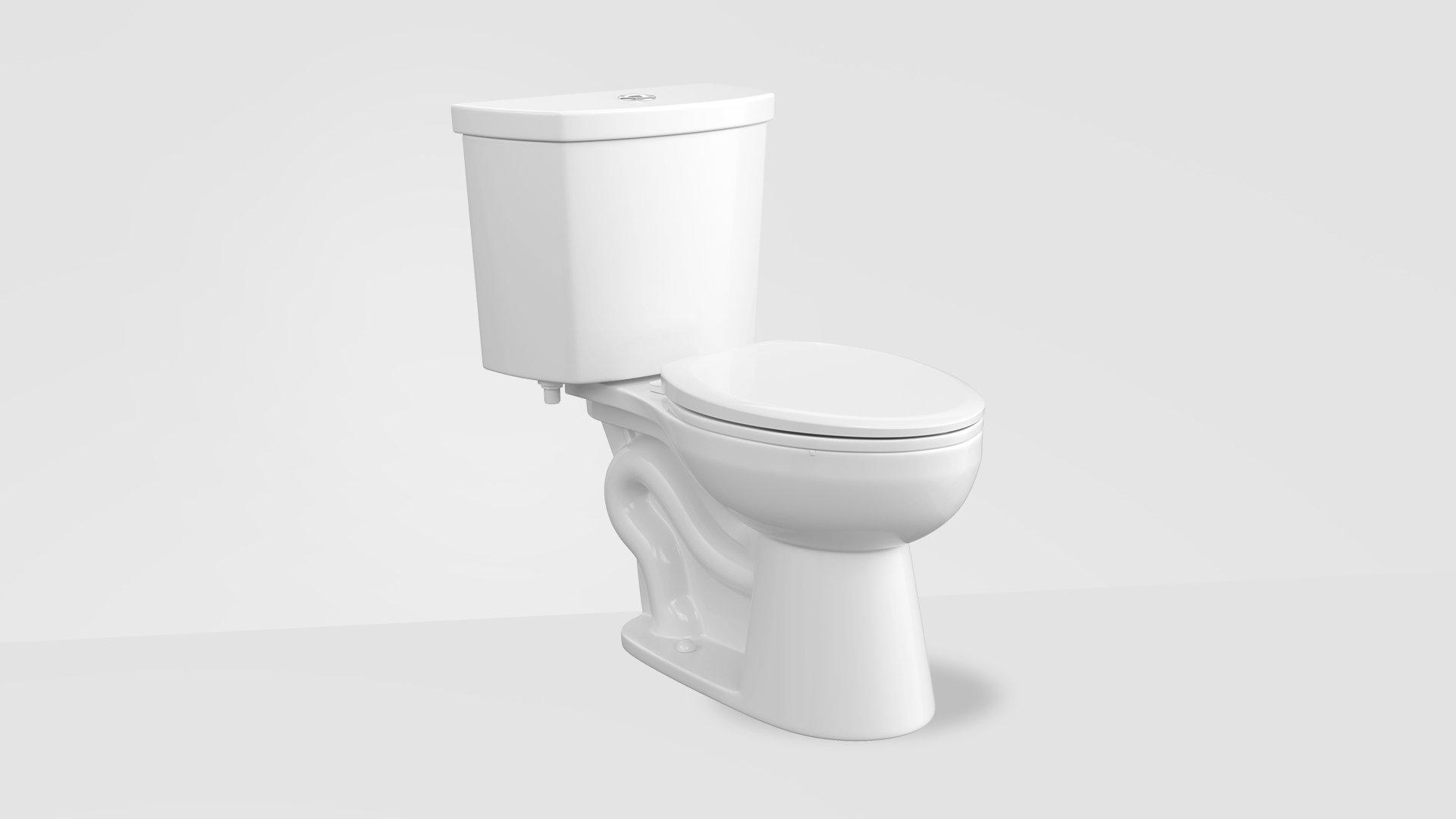 Dual Flush Toilet