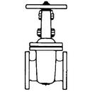 6 in. Cast Iron Conventional Port Flanged Gate Valve