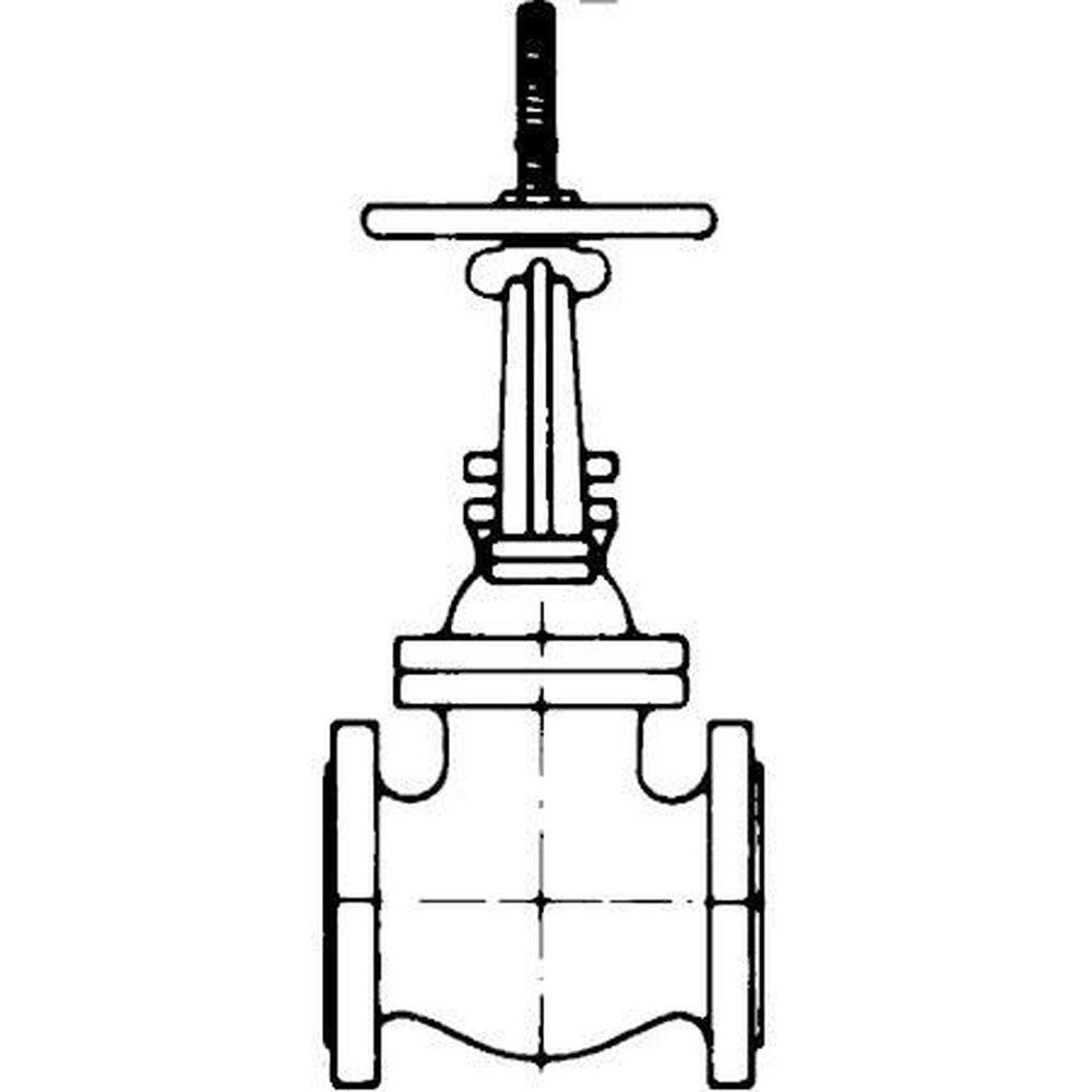 Crane Valve/Crane Energy Flow Sol Cast Iron Flanged Gate Valve 