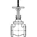 Crane Valve/Crane Energy Flow Sol Cast Iron Flanged Gate Valve 