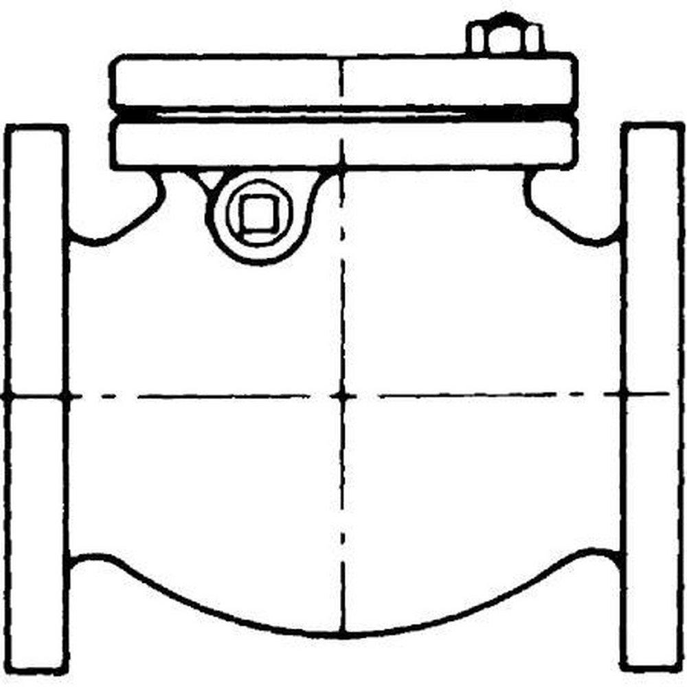 Crane Valve/Crane Energy Flow Sol Cast Iron Flanged Swing Check Valve 
