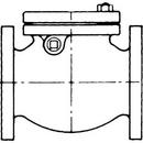 4 in. Cast Iron Flanged Swing Check Valve