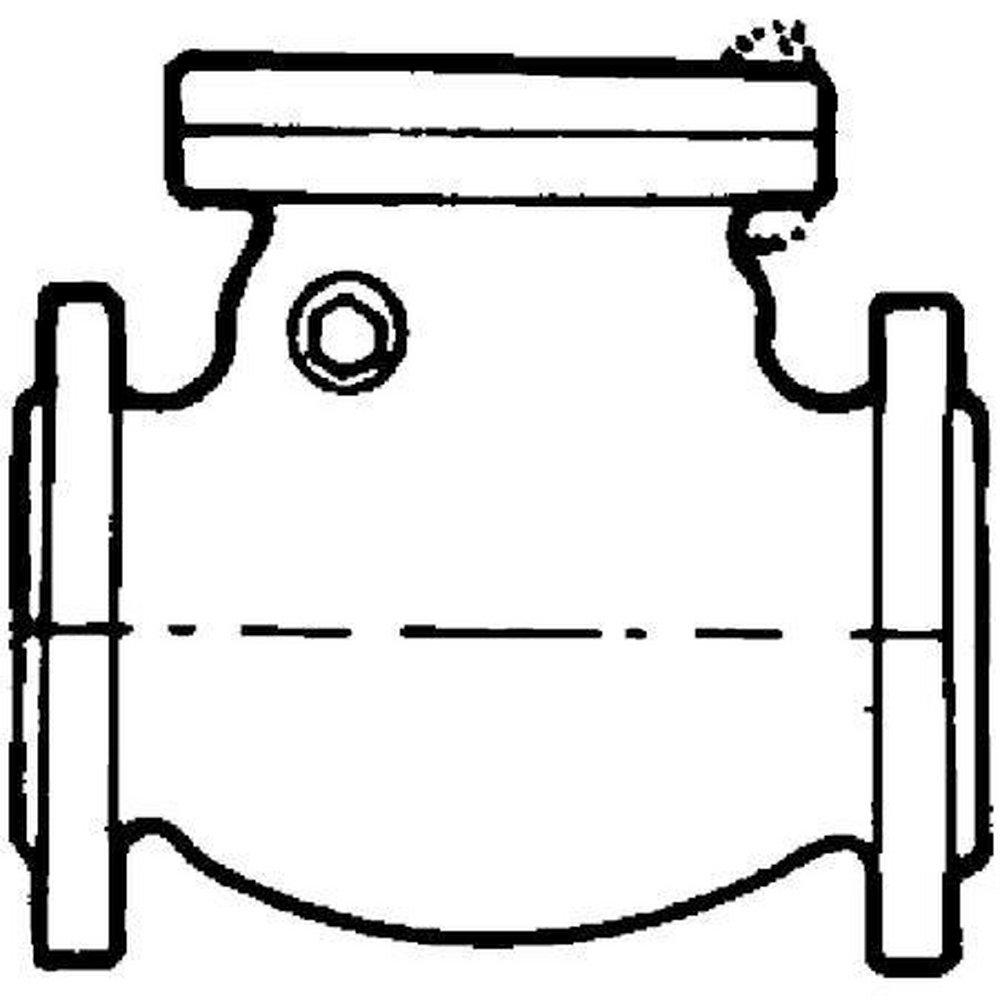 Crane Valve/Crane Energy Flow Sol 300# RF FLG WCB T8 Swing Check Valve Carbon Steel Body, Trim 8, Bolted Cover 