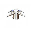 T&S Brass Turret with Two Hose Cocks 