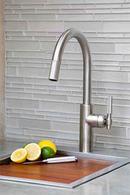 Newport Brass Polished Chrome Pull Down Kitchen Faucet 