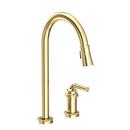 Newport Brass Forever Brass - PVD Single Handle Pull Out Kitchen Faucet 