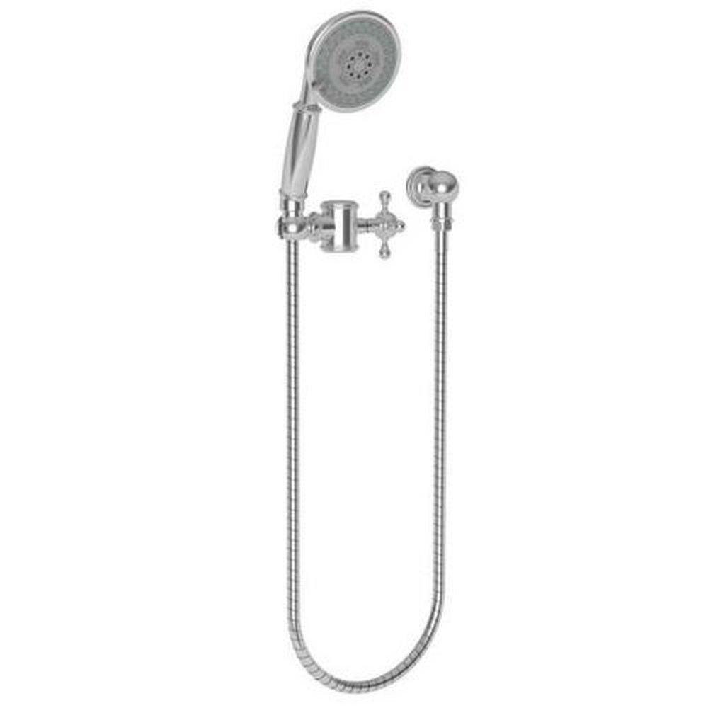 Newport Brass Uncoated Polished Brass - Living Multi Function Hand Shower 