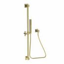 Newport Brass Forever Brass - PVD Single Function Hand Shower 