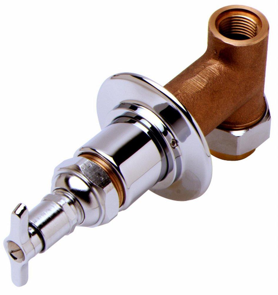 T&S Brass Polished Chrome Wall Mount Faucet 