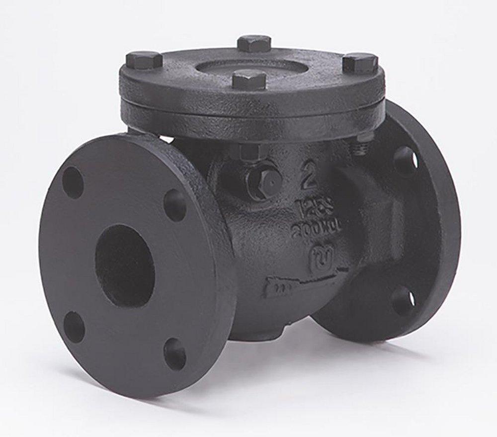 Milwaukee Valve Cast Iron Flanged Check Valve 