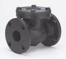 Milwaukee Valve Cast Iron Flanged Check Valve 