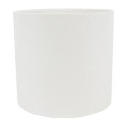 6 in. Hub PVC Coupling