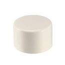 Multi-Fittings Corporation Solvent Weld Plastic Cap