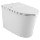 1.0 gpf Elongated One Piece Toilet in White