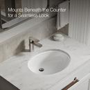 CAXTON 17X14 UC LAV W/CLAMP 