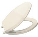 Elongated Closed Front Toilet Seat with Cover in Desert Bloom