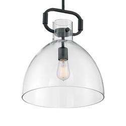 100W 1 Light E26 Medium A19 Pendant in Matte Black