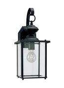 Visual Comfort & Co. Generation Lighting Black 7 in. 100 W 1-Light Medium Lantern 