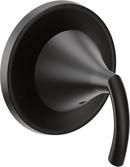Moen Matte Black Brass Valve Trim 