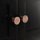 Signature Hardware Black 24 in. Floor Mount Vanity in Black with Antique Copper 