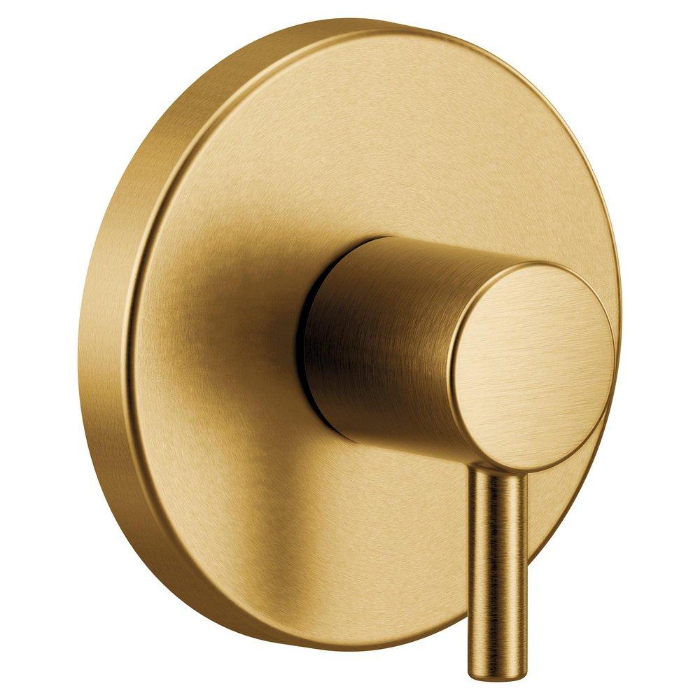 Moen Brushed Gold Single Handle Bathtub & Shower Faucet (Trim Only) 