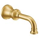 Non-Diverter Tub Spout in Brushed Gold