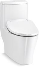 0.96 gpf/1.28 gpf Elongated Dual Flush One Piece Toilet in White