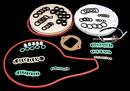 Weil-McLain Maintenance Kit 