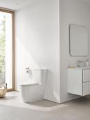 1.0 gpf/1.28 gpf Dual Flush Toilet Tank in Alpine White 