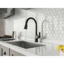 Pfister Matte Black Single Handle Pull Down Kitchen Faucet 