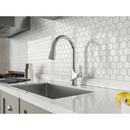 Pfister Polished Chrome Single Handle Pull Down Kitchen Faucet 