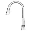 Pfister Polished Chrome Single Handle Pull Down Kitchen Faucet 
