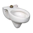 3.5 gpf Elongated Wall Mount Toilet in White