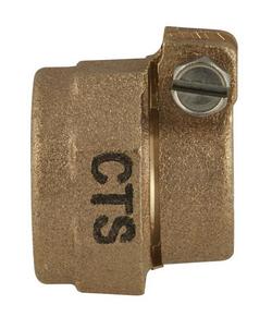 1 in. Pack Joint Brass Gasket Nut