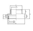 FNST x MGHT 1-1/2 x 3/4 in. Adapter