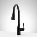 Signature Hardware Matte Black Pull Down Kitchen Faucet 