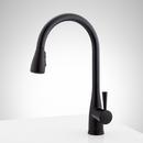 Signature Hardware Matte Black Pull Down Kitchen Faucet 