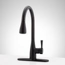 Signature Hardware Matte Black Pull Down Kitchen Faucet 