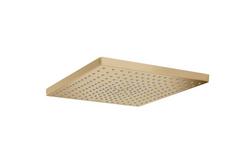 Single Function Showerhead in Brushed Bronze