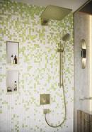 Hansgrohe Brushed Bronze Shower System 