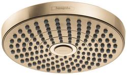 Multi Function Showerhead in Brushed Bronze