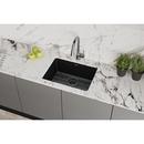 Elkay Black 24-5/8 x 18-1/2 in. Composite Single Bowl Undermount Kitchen Sink 