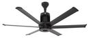 60 in. 6-Blade Outdoor Ceiling Fan in Black