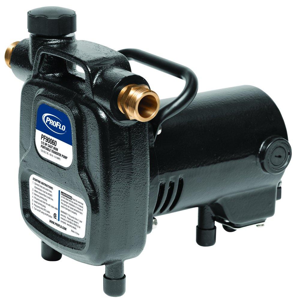PROFLO® 3/4 in. Cast Iron Transfer Pump 