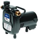 PROFLO® 3/4 in. Cast Iron Transfer Pump 