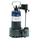 PROFLO&reg; 1-1/2 in. 120V 10 ft. Cast Iron Sump Pump 