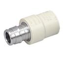 3/4 in. F1960 CPVC and Stainless Steel Coupling