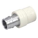 1 in. F1960 CPVC and Stainless Steel Coupling
